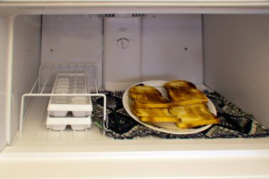 Buzdolabında buz ve tost var.