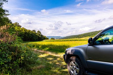 Araba kırsalda yolda.