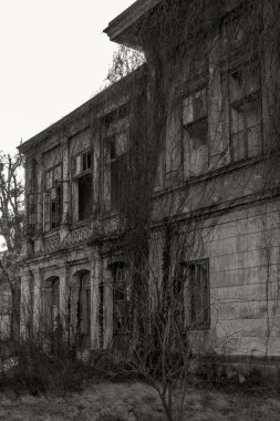 Şehirde terk edilmiş bir ev, çırılçıplak dallarla.