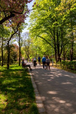 Şehirdeki güzel park