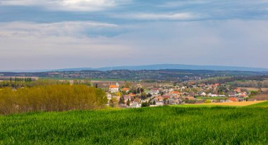 Güneşli bir günde sarı çiçekli güzel bir tecavüz sahası 