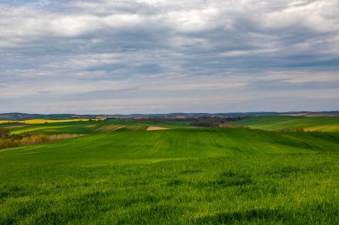 Yeşil çimenlerle ve bulutlu gökyüzüyle güzel bir manzara.