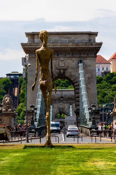 Primer Plano Estatua Frente Puente Cadena Budapest —  Fotos de Stock