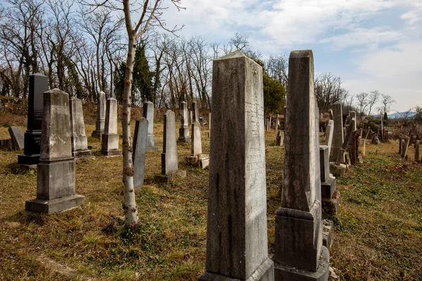 Lovasbereny Hungría Mar 2019 Lápidas Judías Antiguo Cementerio Judío Que — Foto de Stock
