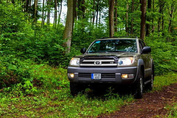 Coche Pequeño Está Estacionado Bosque — Foto de Stock