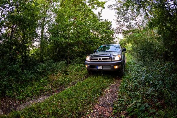 Coche Viejo Bosque —  Fotos de Stock