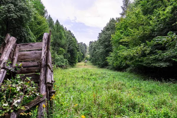 Banc Bois Dans Forêt — Photo