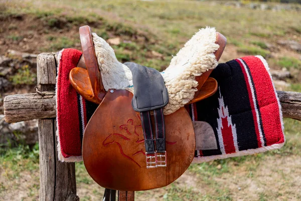 Par Cavalo Capacete Cesto Cavalos — Fotografia de Stock