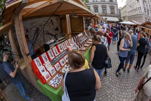 Budapest Ciudad Vista Escena Hungría — Foto de Stock