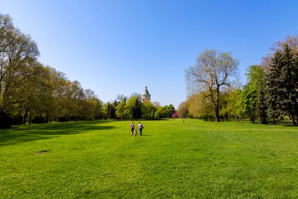 Schöner Park Der Stadt — Stockfoto