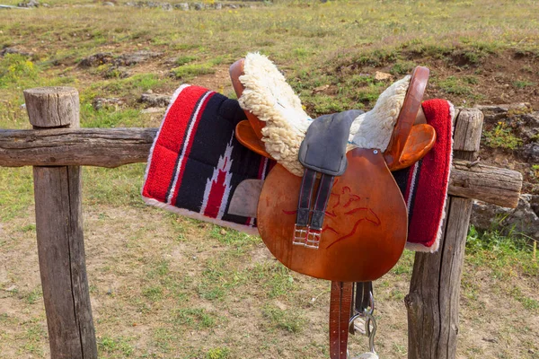 Een Paar Paarden Een Houten Kar — Stockfoto