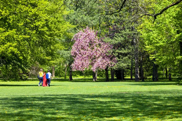 Schöner Park Der Stadt — Stockfoto