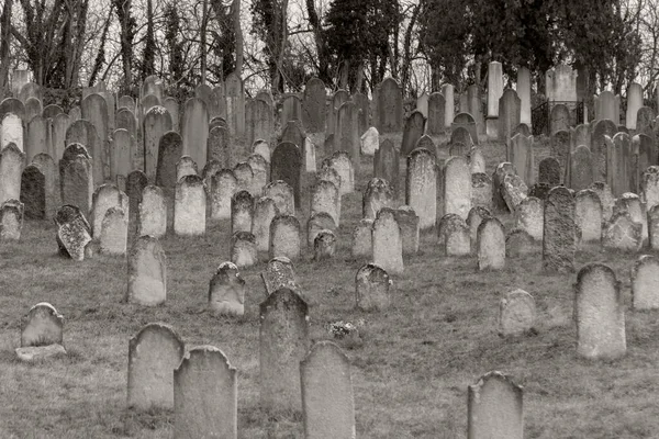 Lovasbereny Hungary Mar 2 2019: Jewish headstones in a ancient Jewish graveyard - dating back to the 1700\'s