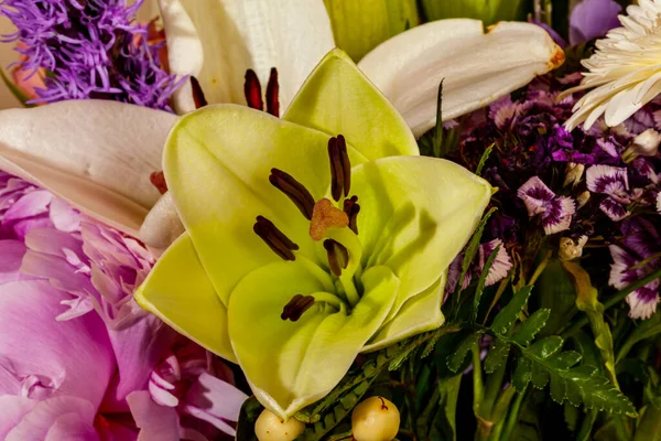 Schöne Blumen Garten — Stockfoto