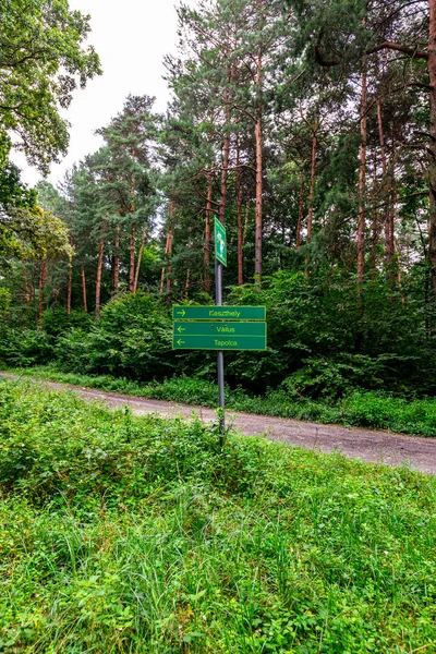 Wooden Signpost Park Nature Background — Zdjęcie stockowe