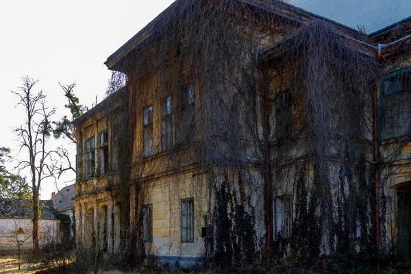 Casa Abandonada Ciudad Con Ramitas Desnudas —  Fotos de Stock