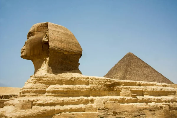 Sphinx Mythical Creature Head Human Body Lion Pyramid — Stock Photo, Image