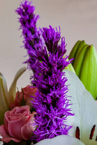 Blumenstrauß Auf Hellem Hintergrund Sommerkonzept Nahsicht — Stockfoto