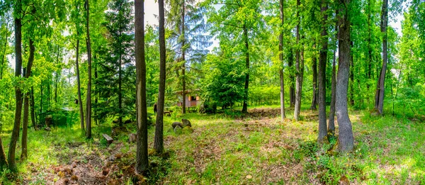 Picturesque View Old House Endless Forest Sunny Day — Stock Photo, Image