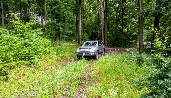 Coche Viejo Bosque — Foto de Stock