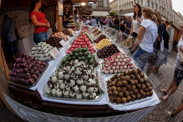 Budapest Ciudad Vista Escena Hungría — Foto de Stock