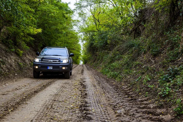 Vista Carro Dirigindo Estrada Perto Floresta Dia Ensolarado — Fotografia de Stock