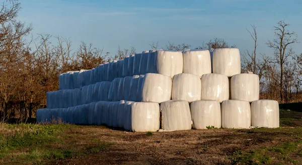 Het Hongarije Industry Panorama — Stockfoto