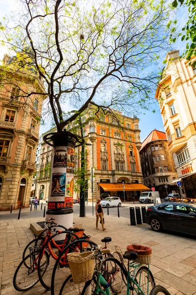 Budapeste Vista Cidade Cena Hungria — Fotografia de Stock