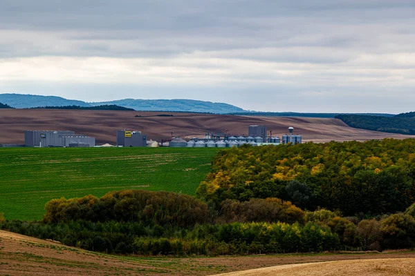 Bellissimo Paesaggio Con Campo Erba Verde Cielo Nuvoloso — Foto Stock