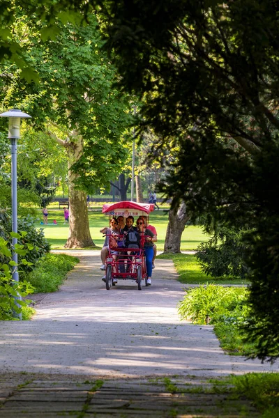 Panoramisch Uitzicht Park Tijdens Zomer — Stockfoto