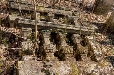 Ormandaki eski ahşap merdivenler. Doğa