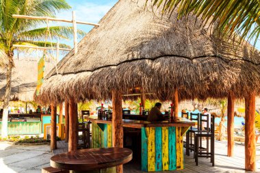 COSTA MAYA - MEXICO, 30 Ocak 2016: Kosta Maya yolcu gemisi terminali ve bu tropik cenneti bekleyen birçok eğlence beldesi.