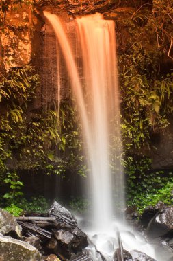 Ormanda güzel bir şelale