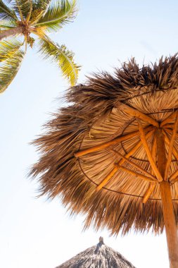 Plaj şemsiyesi ve mavi gökyüzü doğa arka planında