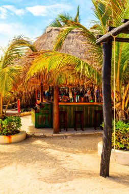 COSTA MAYA - MEXICO, 30 Ocak 2016: Kosta Maya yolcu gemisi terminali ve bu tropik cenneti bekleyen birçok eğlence beldesi.