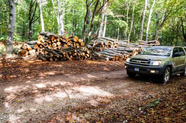 Macaristan Bukk dağ sırası Jun. 11, 2021: Toyota 4Runner SUV ormancılık ve avcılık alanlarında turneye çıktı. Avrupa 4x4 safarisi.
