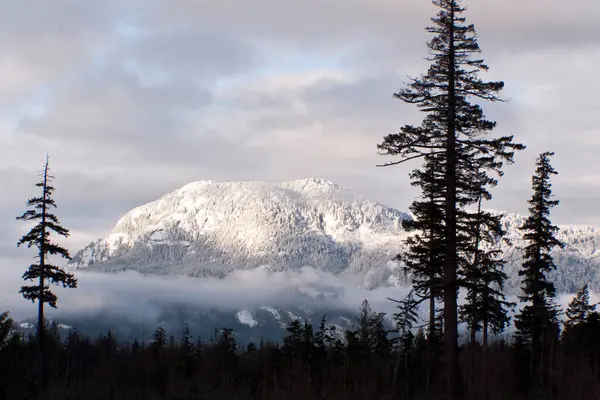 有白雪覆盖的高山的美丽风景 — 图库照片