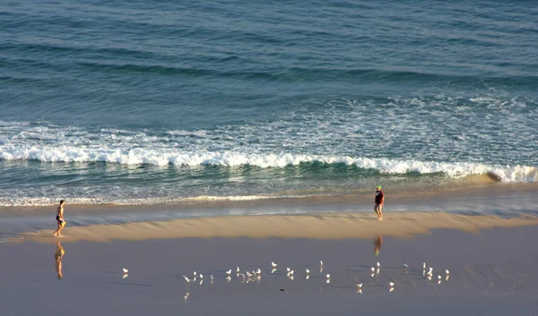 Aerial Scenic Shot Beautiful Seashore — Foto Stock