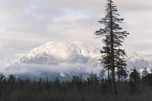 Vackert Landskap Med Snötäckta Berg — Stockfoto