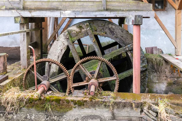 Oud Roestig Metalen Wiel Het Bos — Stockfoto