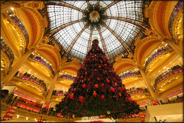 Christmas Tree Decoration City Lafayette Paris — Stock Photo, Image