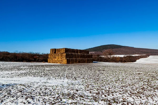 Heuballen Stapeln Sich Auf Dem Verschneiten Boden — Stockfoto