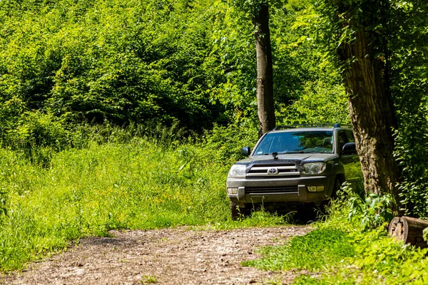 Car Forest Green Field Vintage Camera Selective Focus — Stock Photo, Image