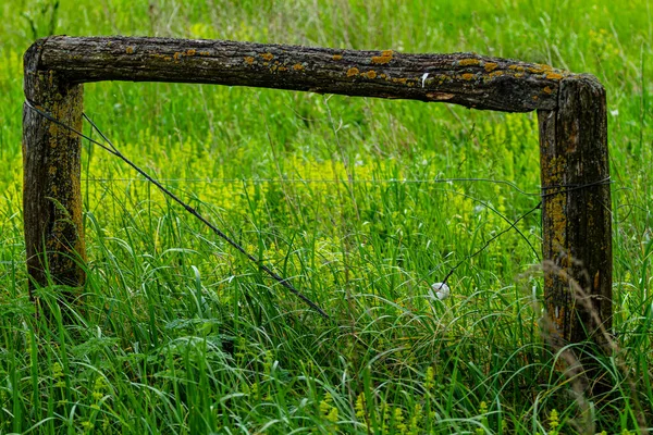 Old Wooden Fence Green Grass — Stock Photo, Image