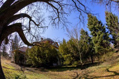 Parkın güzel manzarası