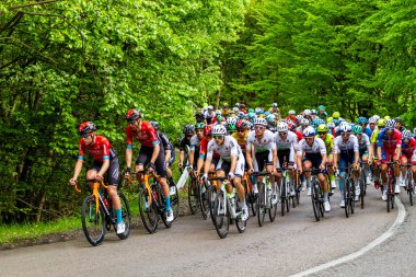 Fransa Turu 2019 yarışması