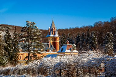 Kışın karla kaplı ağaçları olan güzel bir bina.