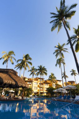 Palmiye ağaçları ve mavi gökyüzü olan güzel tropikal plaj 