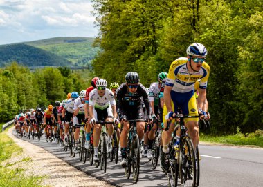 Fransa Turu 2019 yarışması