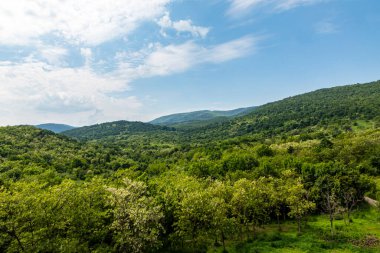 Dağların güzel manzarası ve yeşil bitki örtüsü 